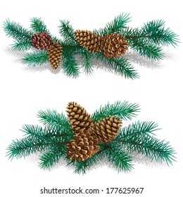 Two branches of pine-tree with the cones of different form on a white background.