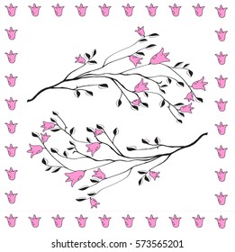 two branches with pink  flowers on a white  background in a frame of pink  tulips.  Freehand drawing vector.
