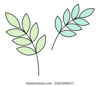 Two branches from a rowan tree. Green vegetation. Leaves on the stem. Set of color vector illustrations. Cartoon style. Isolated background. Idea for web design.