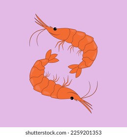 Two bright funny funny cartoon shrimps, marine inhabitants, seafood