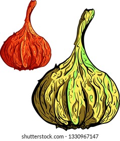 Two bright green and red garlic