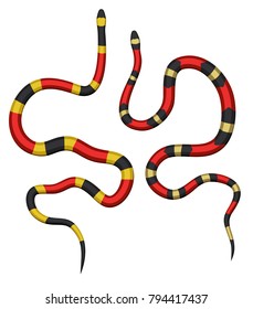 Two bright snakes in red? yellow and black colors. Vector set.