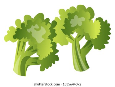 Two brocolli in green color with three branches in each, vector, color drawing or illustration.