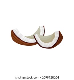 Two broken pieces of coconut. Tropical fruit. Natural product. Decorative flat vector element for packing, menu or poster