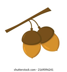 Two brown acorns on a twig in flat style. Vector image.