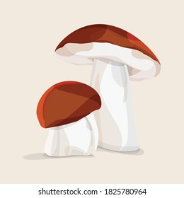 Two brown autumn forest mushroom on background. Vector file.