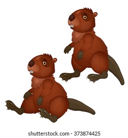 Two brown beaver isolated on white background. Vector cartoon close-up illustration.