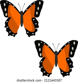 Dos mariposas marrones, ilustración, vector sobre un fondo blanco.
