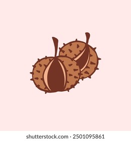 Two brown chestnuts with spiky shells on a light pink background