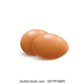 Two brown chicken eggs on white background realistic vector illustration