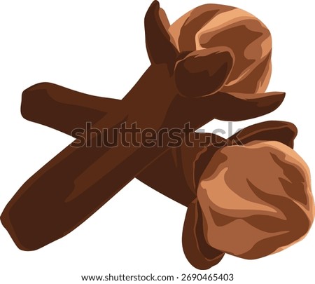 Two brown cloves are depicted in a vector illustration, one lying across the other, against a white background.