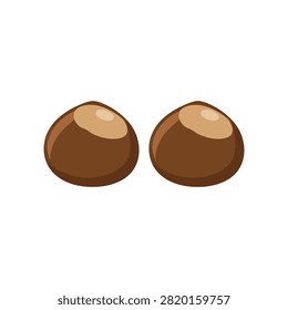 Two brown conker chestnuts with smooth shells, isolated on a white background, flat for autumn seasonal