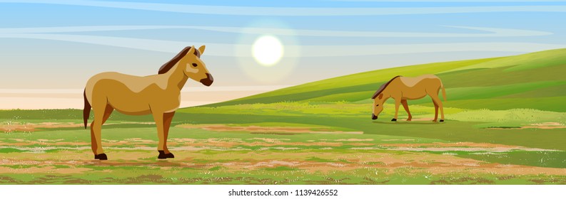 Two brown horses graze in a meadow. Hills covered with grass. Vector landscape