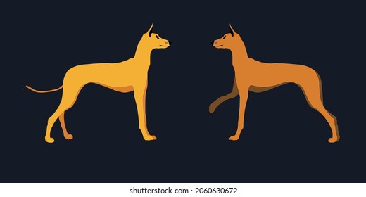 Two brown Hound dog breeds cartoon vector image.