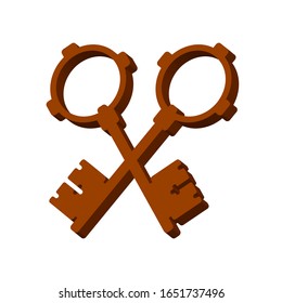 Two brown keys on a white background 3d, vector