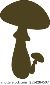 two brown mushroom on a white background