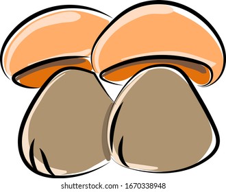 Two brown mushrooms, illustration, vector on white background.