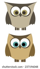 two brown owls