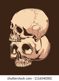 TWO BROWN SKULLS IN ONE SHADE