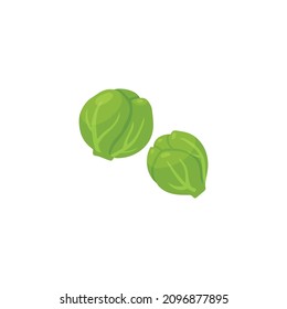 Two Brussel sprouts vector illustration. Brussels sprout green vegetable cabbage, cartoon icon isolated.