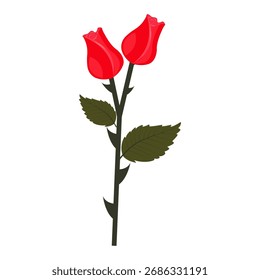 Duas gemas de rosa vermelha brilhante em uma haste. Ilustração vetorial isolada sobre fundo branco.
