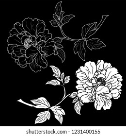 two buds in the contour and silhouette