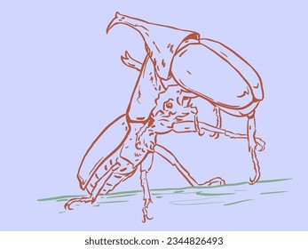 Two bug fighting vector for card, decoration, illustration