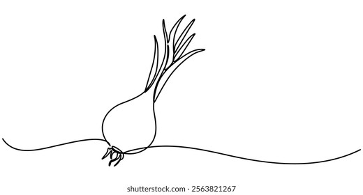 Two bulbs of onions. Harvest. Continuous line drawing. Vector illustration, Continuous one line drawing of onion for grocery store. One line drawing illustration of red onion vegetable. Raw vegetable.