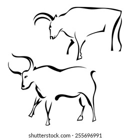 Two bull in profile in a pasture. Vector illustration.