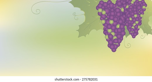 Two bunches of dark  grapes with leaves on soft blurred background. .Background for web site, brochure etc.