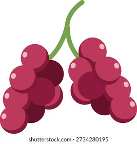 Two bunches of deep red grapes on green stems, simple flat illustration, isolated on white.