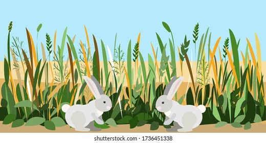 Two bunnies met on a field with juicy grass and look at each other