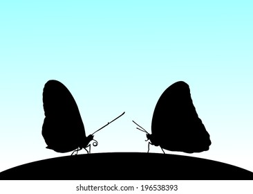 two butterflies facing each others