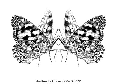 Two butterflies kisses. Beautiful insects. Spread wings of love. Realistic vector, engraving sketch. Illustration for tattoo, t-shirt, art, print.