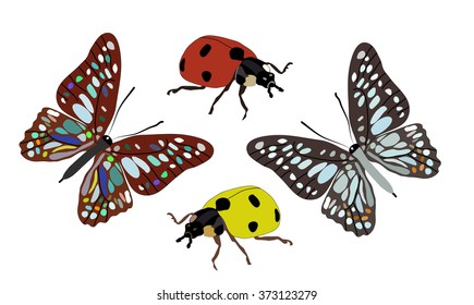 Two butterflies and ladybugs isolated on white background
