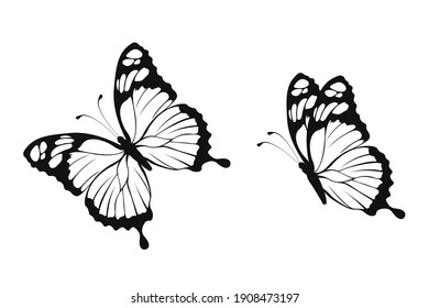 カラフル 蝶 のイラスト素材 画像 ベクター画像 Shutterstock