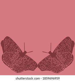 Two butterflies and a pink background for copy space is a great template for romantic greetings, wedding decor and designs for Valentine's Day.  Colored vector illustration.