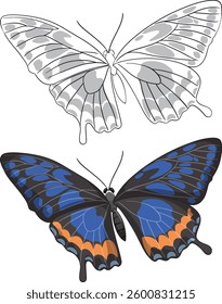 Two butterflies showcasing vibrant and grayscale designs