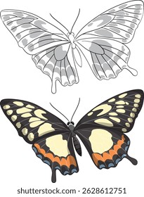 Two butterflies showcasing vibrant and grayscale designs