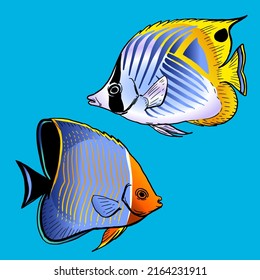 Two Butterfly Fish Swimming Together