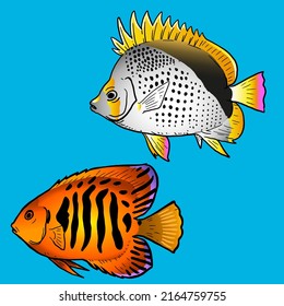 Two Butterfly Fish Swimming Together