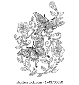 Two butterfly with flower.
Zentangle stylized cartoon isolated on white background. 
Hand drawn sketch illustration for adult coloring book. 
