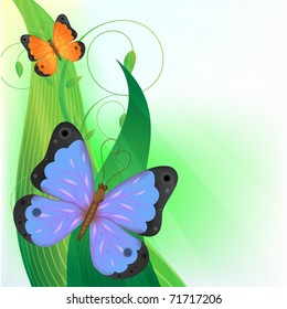 Two butterfly on the grass