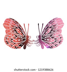 Two Butterfly pretty coloured