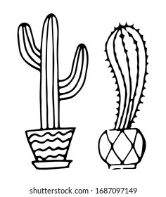 Two cacti in flower pots. Black outline. Hand drawn style. Isolated on a white background. Vector illustration.