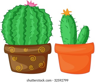 Two Cacti Standing In A Row