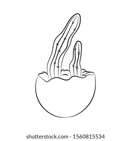 Two cactus are growing in a pot. Outline illustration.