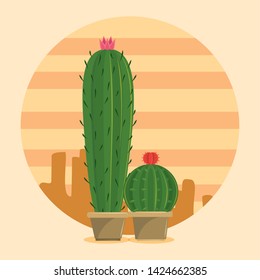 Two Cactus succulent pot on desertscape round frame over beige background vector illustration graphic design