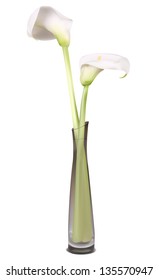 Two calla in a clear vase. EPS10 vector.