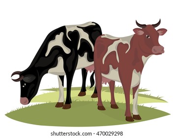 two calves standing on green grass. brown and black cow